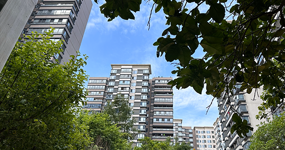 cn域名注册满两年文档介绍内容