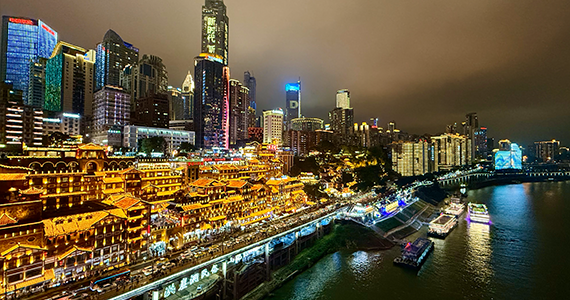 cnnic域名的注册原则