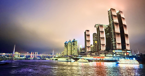 个人cn域名注册文档介绍内容